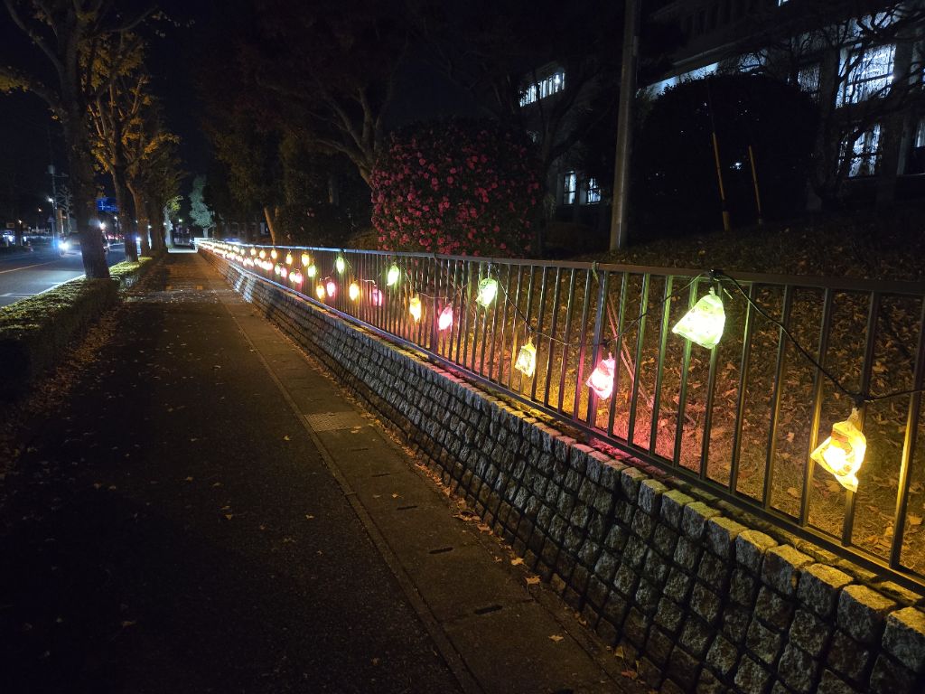 イルミネーション点灯の様子(2)